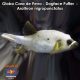 Globo Cara de Perro - Dogface Puffer - Arothron nigropunctatus