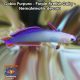 Gobio Purpura - Purple Firefish Goby - Nemateleotris decora