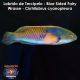 Labrido de Tercipelo - Blue Sided Fairy Wrasse - Cirrhilabrus cyanopleura