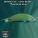 Labrido Lunar - Lunare Wrasse - Thalassoma lunare