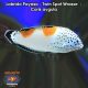 Labrido Payaso - Twin Spot Wrasse - Coris aygula