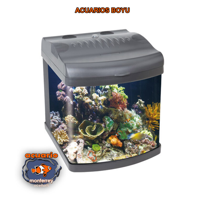 MT50 ACUARIO BOYU