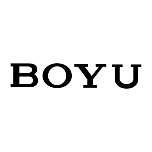 logo boyu 500×500